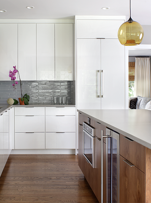 Contemporary style cabinets